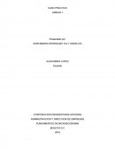 CASO PRÁCTICO EL CONTROL DE PRECIOS E IMPUESTOS