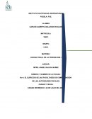 EL EJERCICIO DE LAS FACULTADES DE COMPROBACION DE LAS AUTORIDADES FISCALES.