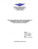 IMPACTO DE LA SOBRECARGA LABORAL EN EL PROFESIONAL DE ENFERMERÍA QUE LABORA EN EL CENTRO MATERNO