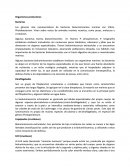 Organismos que producen bioluminiscencia