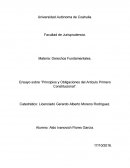 Principios y obligaciones del Artículo Primero Constitucional