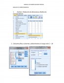 MANUAL DE EXAMEN SEGUNDO PARCIAL - ANALISIS DE CORRESPONDENCIA