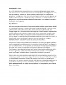 Vision de los vencidos.