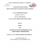 Instituaciones y organisaciones en un profesionista.