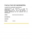 Investigacion de mercado y plan de marketing para la aceptacion y posicionamiento del salon de Belleza & Juegos