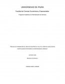 Proceso de transmición de servicios pediátricos a adultos: visión de adolescentes hospitalizados portadores de emfermedades crónicas