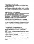 Membrana Citoplasmática o Plasmalema.