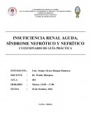 INSUFICIENCIA RENAL AGUDA, SÍNDROME NEFRÓTICO Y NEFRÍTICO