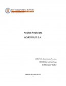Análisis Financiero Hortifrut S.A..