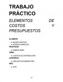 TRABAJO PRÁCTICO ELEMENTOS DE COSTOS Y PRESUPUESTOS