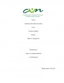 Ensayo Importancia del análisis de cuentas