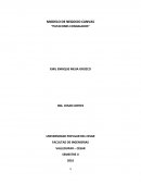 MODELO DE NEGOCIO CANVAS.