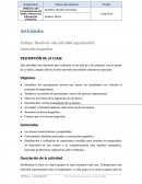 Actividades Trabajo: Diseño de una actividad experimental: