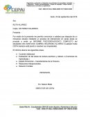 Informe psicologico completo