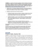 Tema- Todo sobre Geomedia.