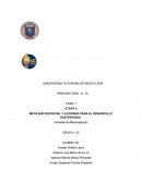 MOVILIZACION SOCIAL Y ACCIONES PARA EL DESARROLLO SUSTENTABLE.