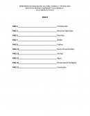 Tema acerca de las Rocas y minerales.