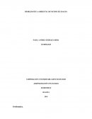 PROBLEMÁTICA AMBIENTAL MUNICIPIO DE SOACHA