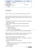 Trabajo: Diseño de una unidad didáctica de Educación Física.