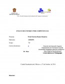 El Ensayo enfoque por competencias