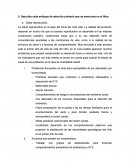 Describa cada enfoque de atención primaria que se menciona en el libro.
