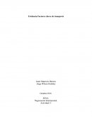 Evidencia Factores claves de transporte