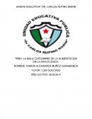 LA MALA COSTUMBRE DE LA ALIMENTACION EN LA ADOLECENCIA