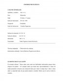 Informe psicologico de Raven para adultos