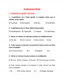 Ejercicios sexto de primaria