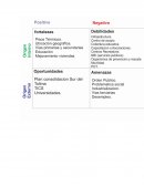 TALLER DE LA MATRIZ DOFA DEL MUNICIPIO DE CHAPARRAL.