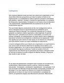 Contingencia - Ensayo