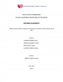 Introducción a la Neuropsicología.