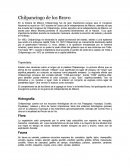 Chilpancingo Guerrero