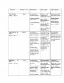 Periodo presocrático (Principio de la Naturaleza)