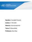 Este trabajo del diencéfalo pero más en específico sobre dos de sus partes: el tálamo y el hipotálamo sus funciones, importancia, su clasificación, sus procesos, sus lesiones y alteraciones clínicas.