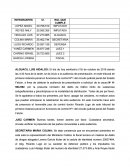 GUION DE AUDIENCIA PRELIMINAR.