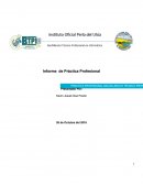 Inforrme De Practica Profesional.