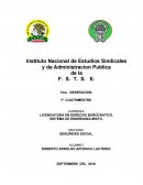 SISTEMA DE ENSEÑANZA MIXTO.