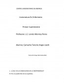 Cual fue la consecuencia de la independencia?