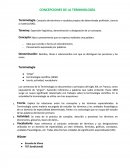 CONCEPCIONES DE LA TERMINOLOGÍA