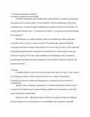 Investiga los siguientes conceptos. Concepto e importancia de metodología.