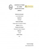 Ensayo sobre la Corrupción en México.