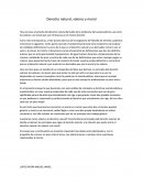 Derecho natural, valores y moral