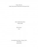 Unidad 2 Reconocimiento De Mecanismos De Participación Social