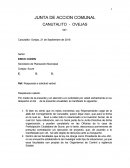 Junta de accion comunal.
