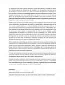 La bioquímica de los ácidos nucleicos constituye el corazón de la genética;