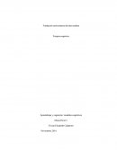 Trasmilenio Aprendizaje y cognición: modelos cognitivos