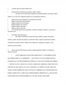 Derecho Mercantil Mexicano. Tarea