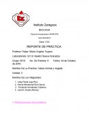 BIOLOGIA. REPORTE DE PRÁCTICA