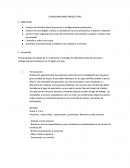 Configuraciones productivas